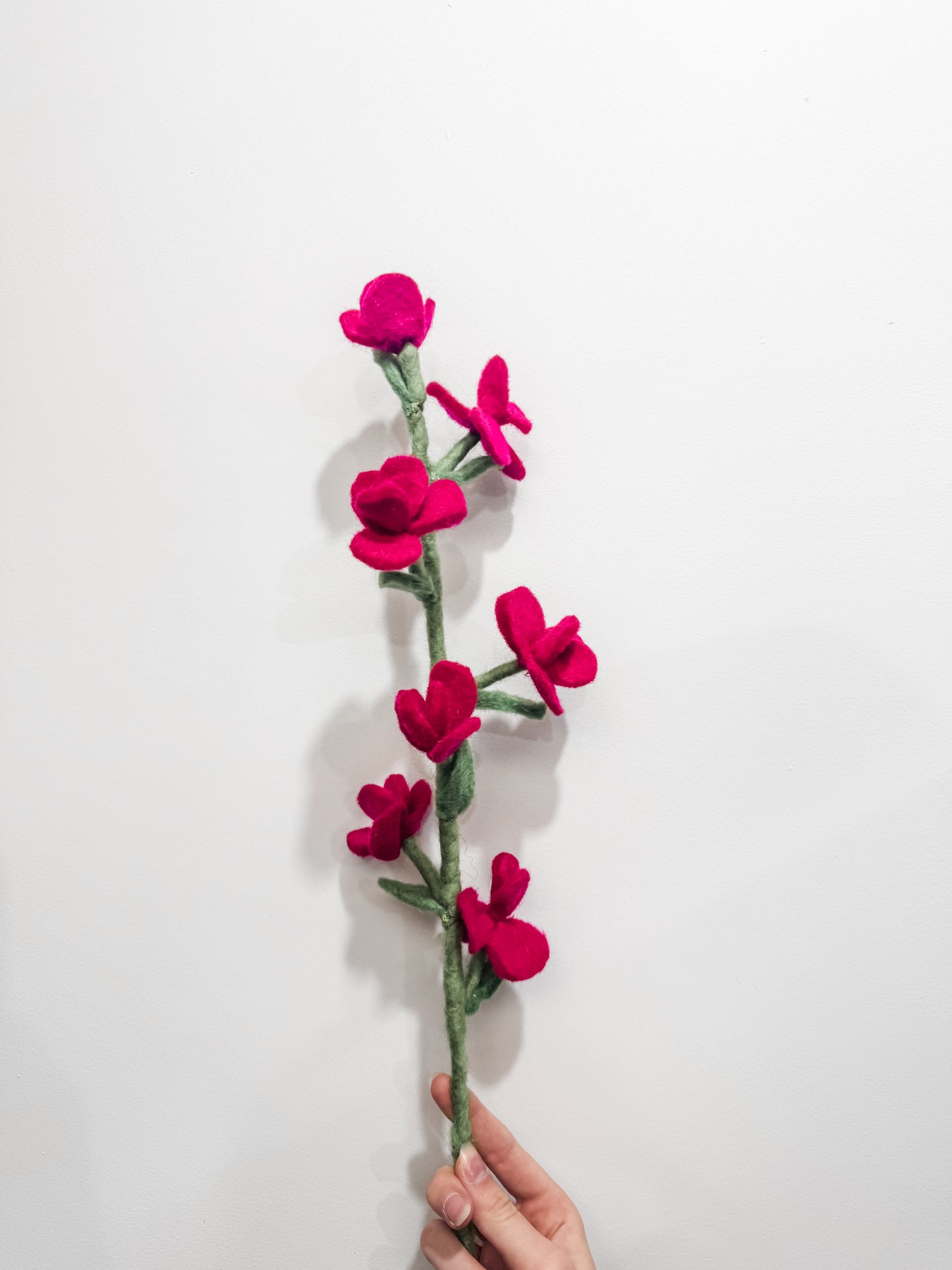 Flower Stems