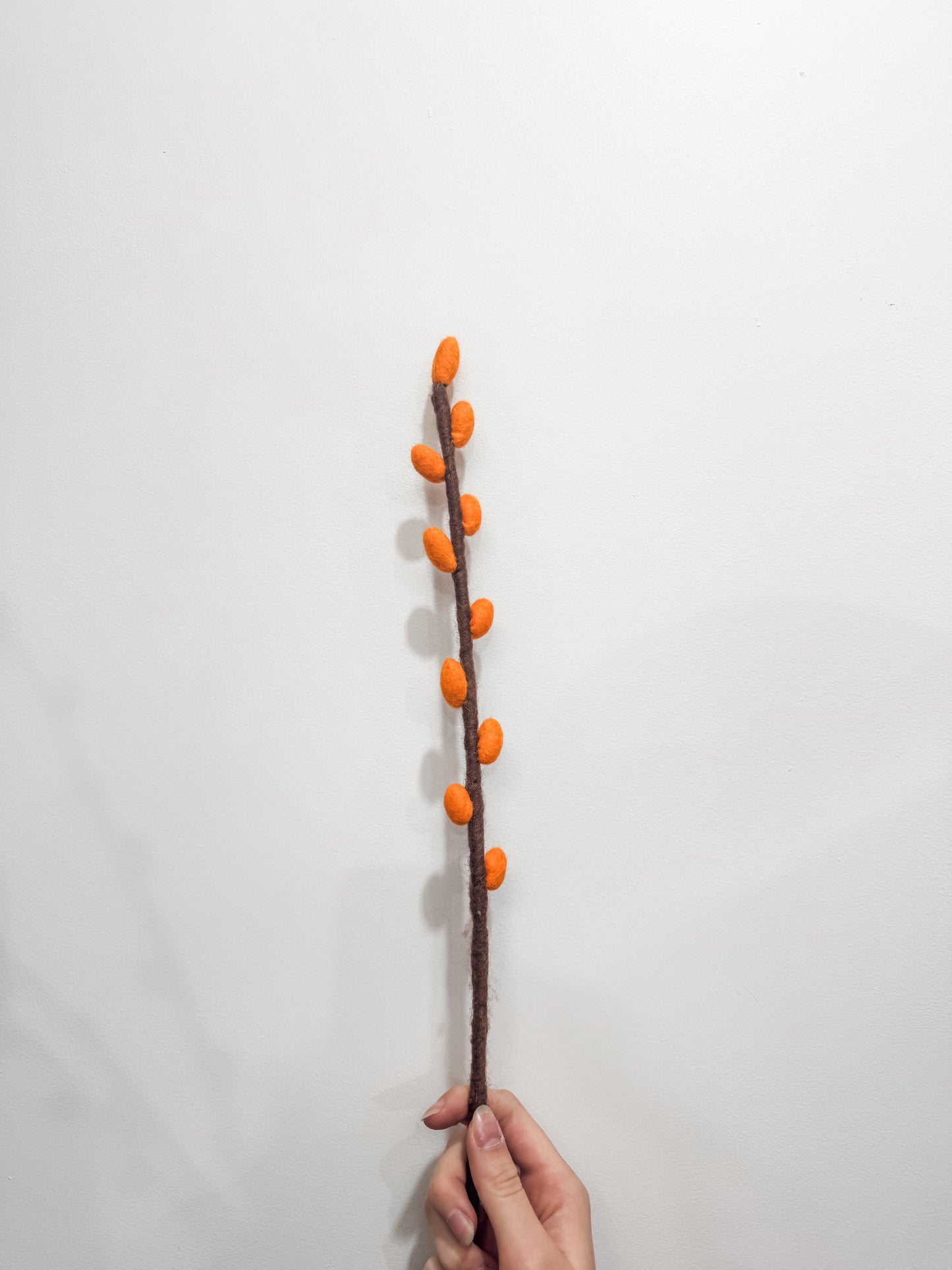 Flower Stems