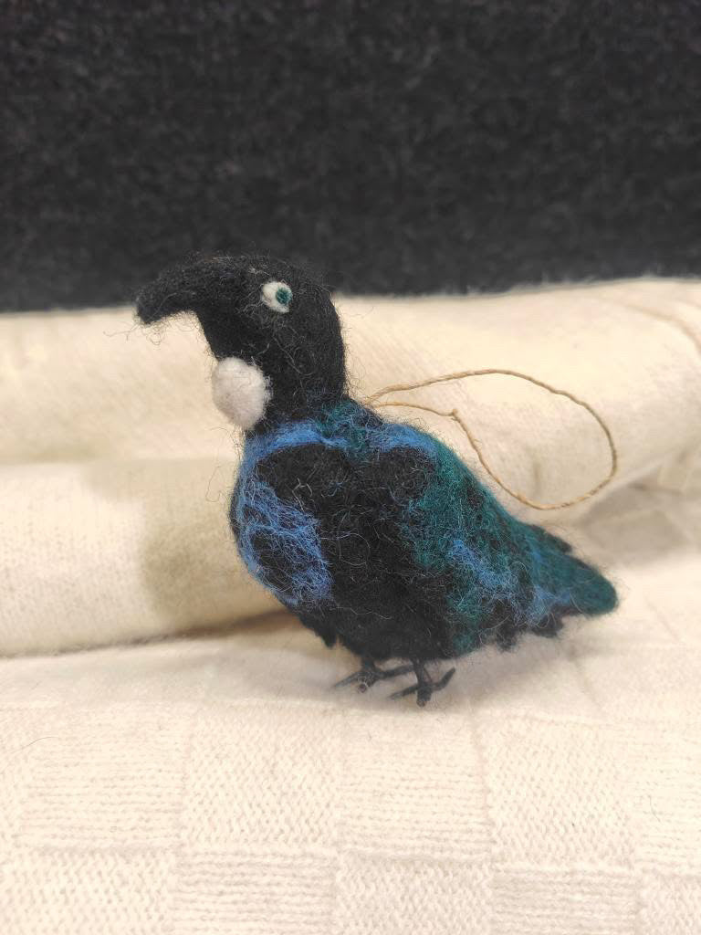 New Zealand Birds