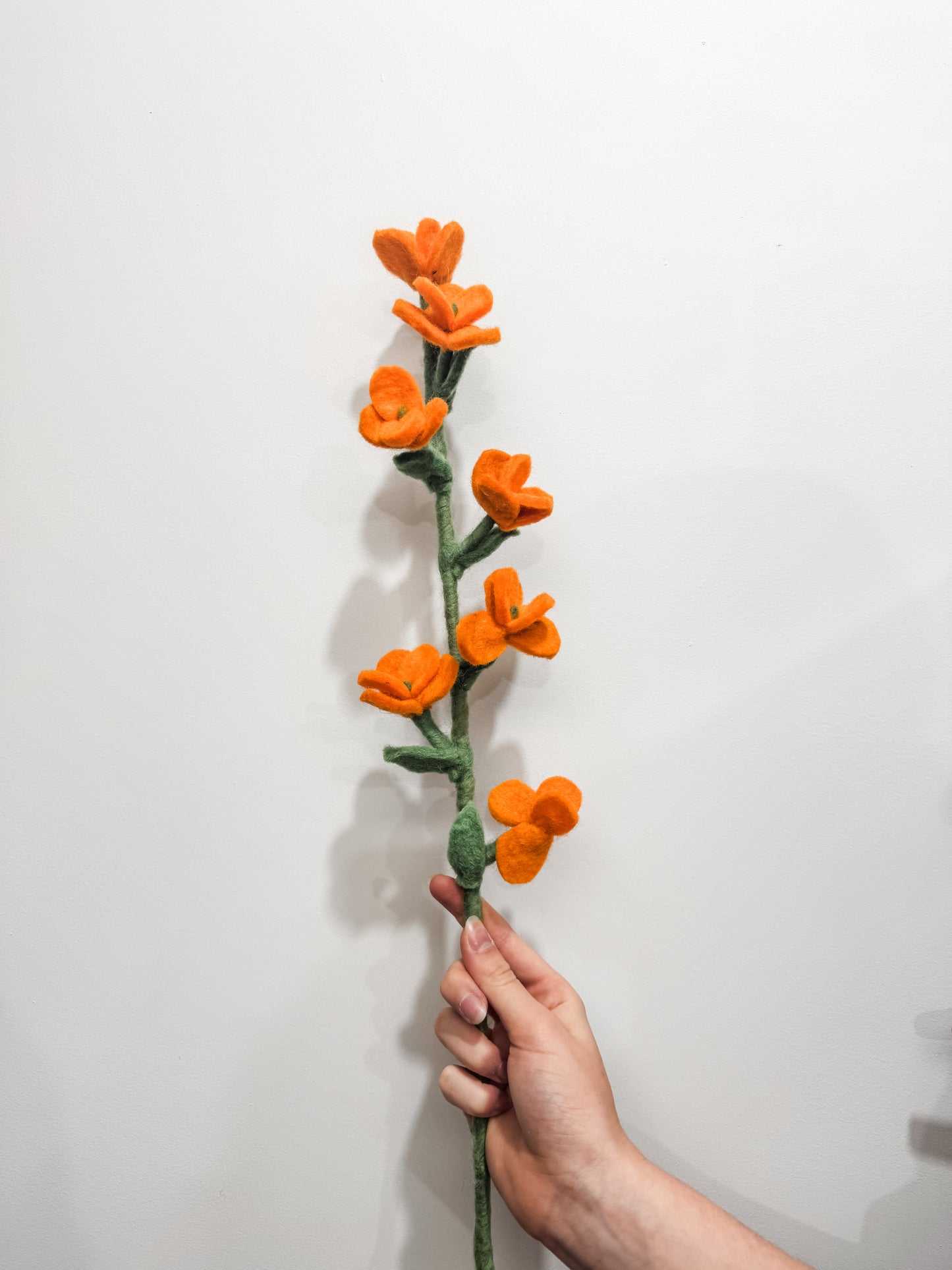 Flower Stems