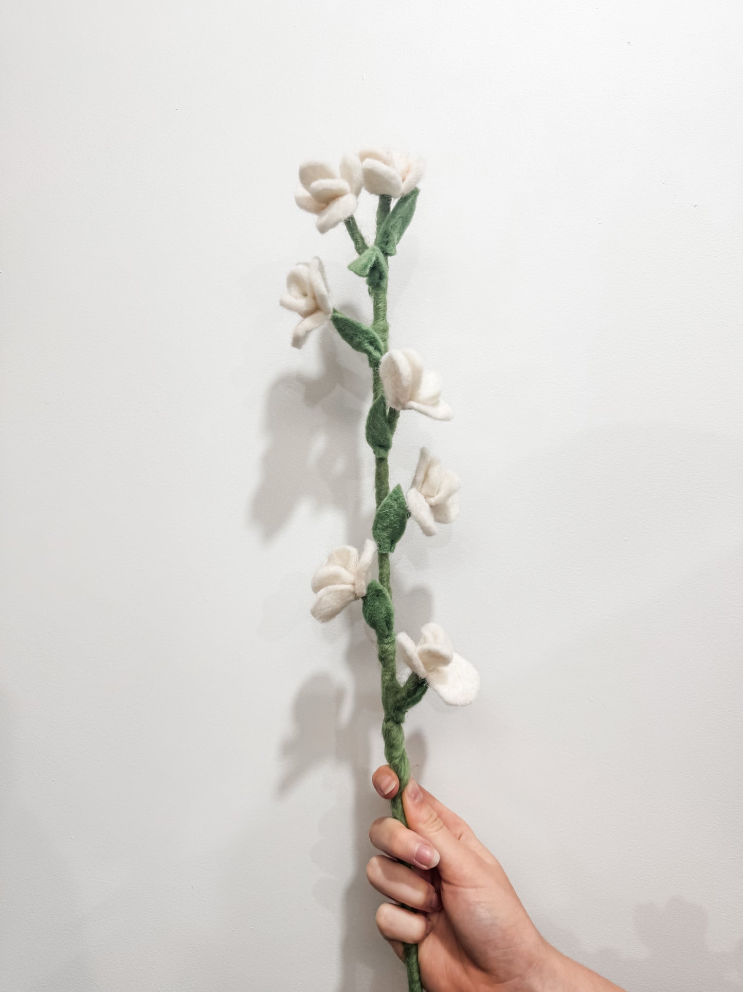 Flower Stems