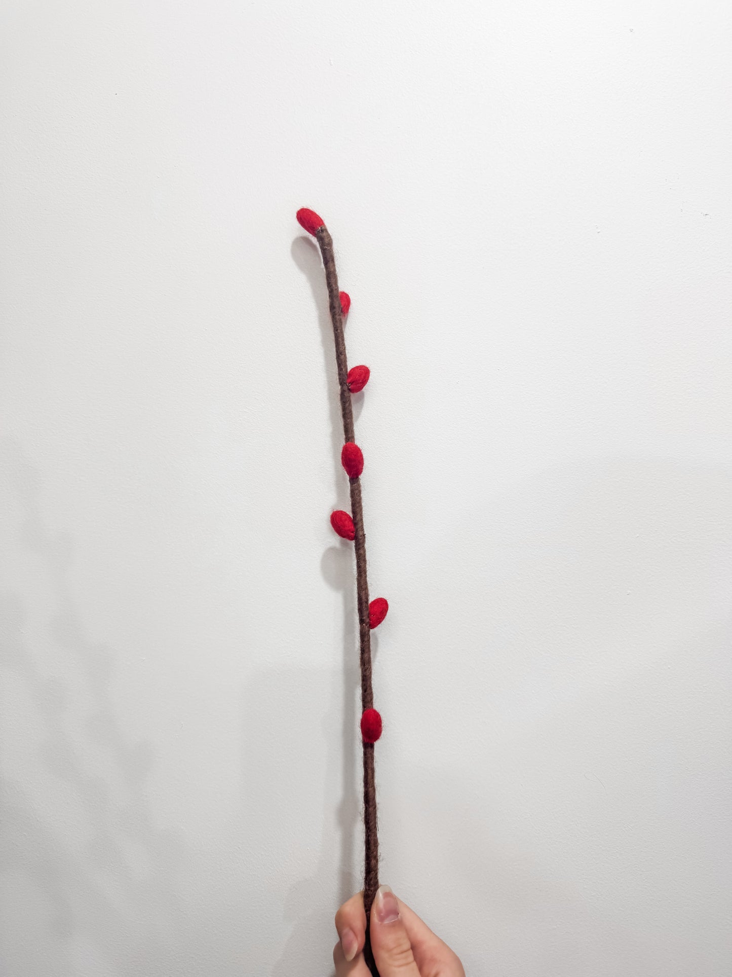 Flower Stems