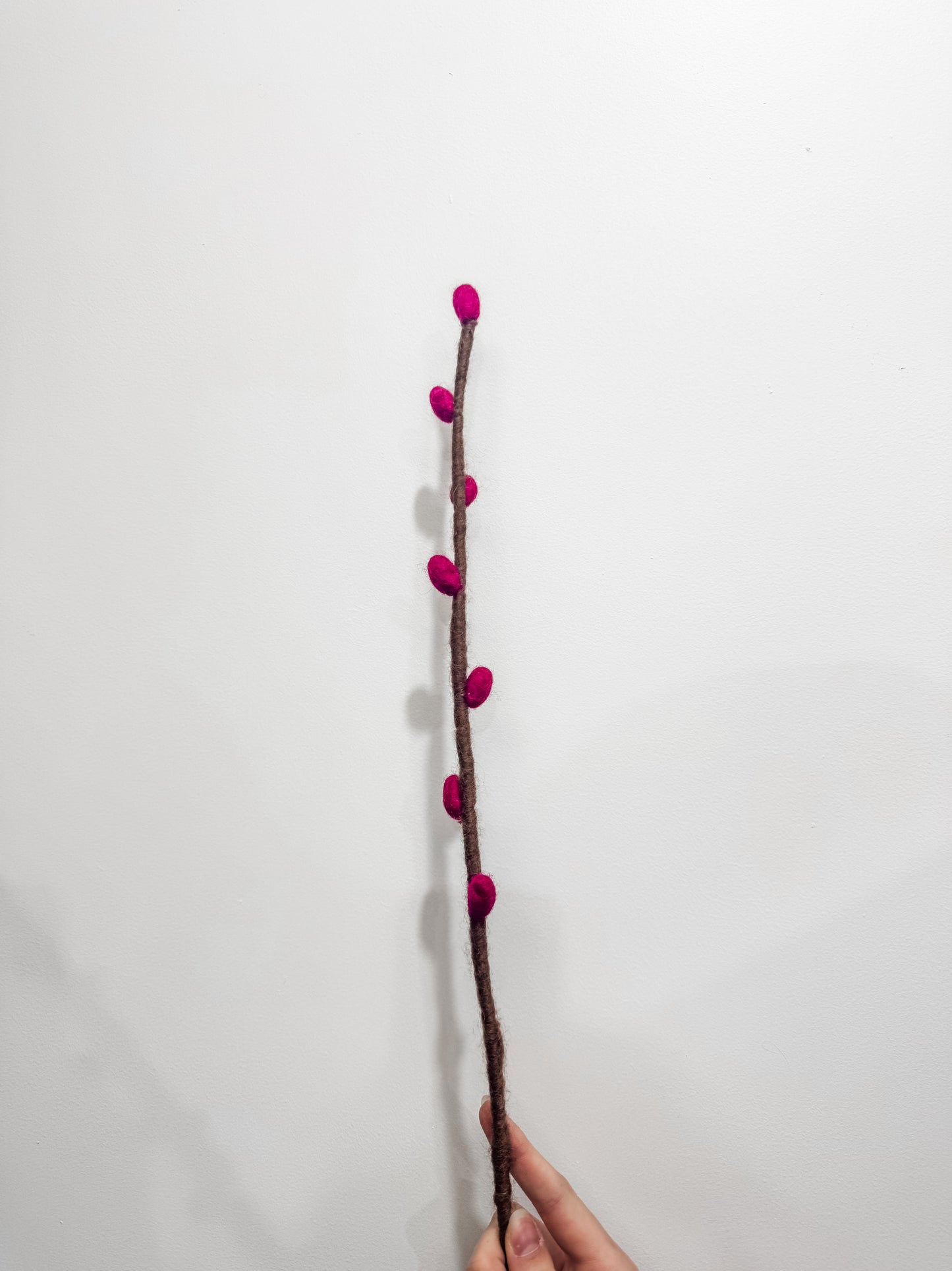 Flower Stems