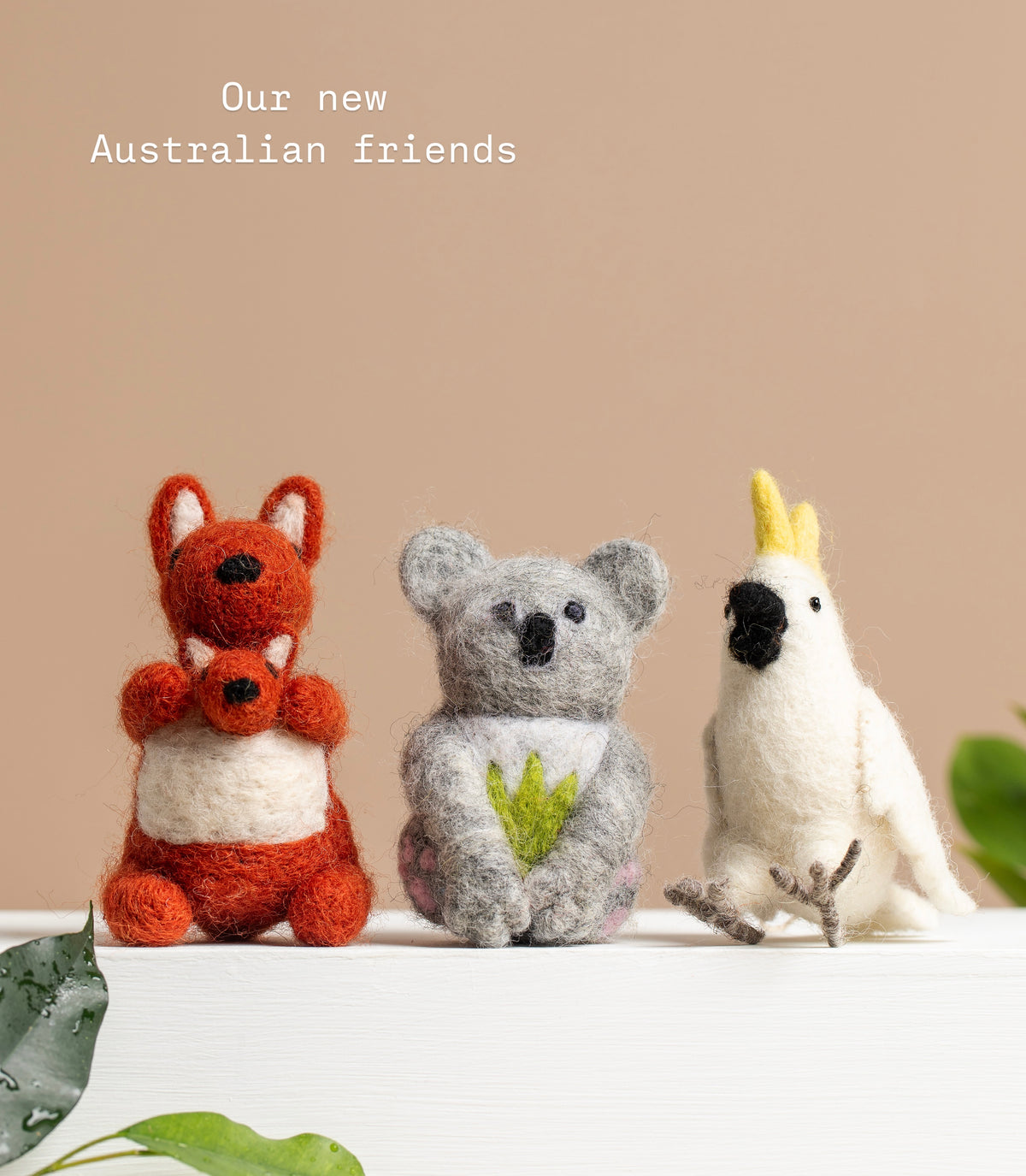 Australian Friends
