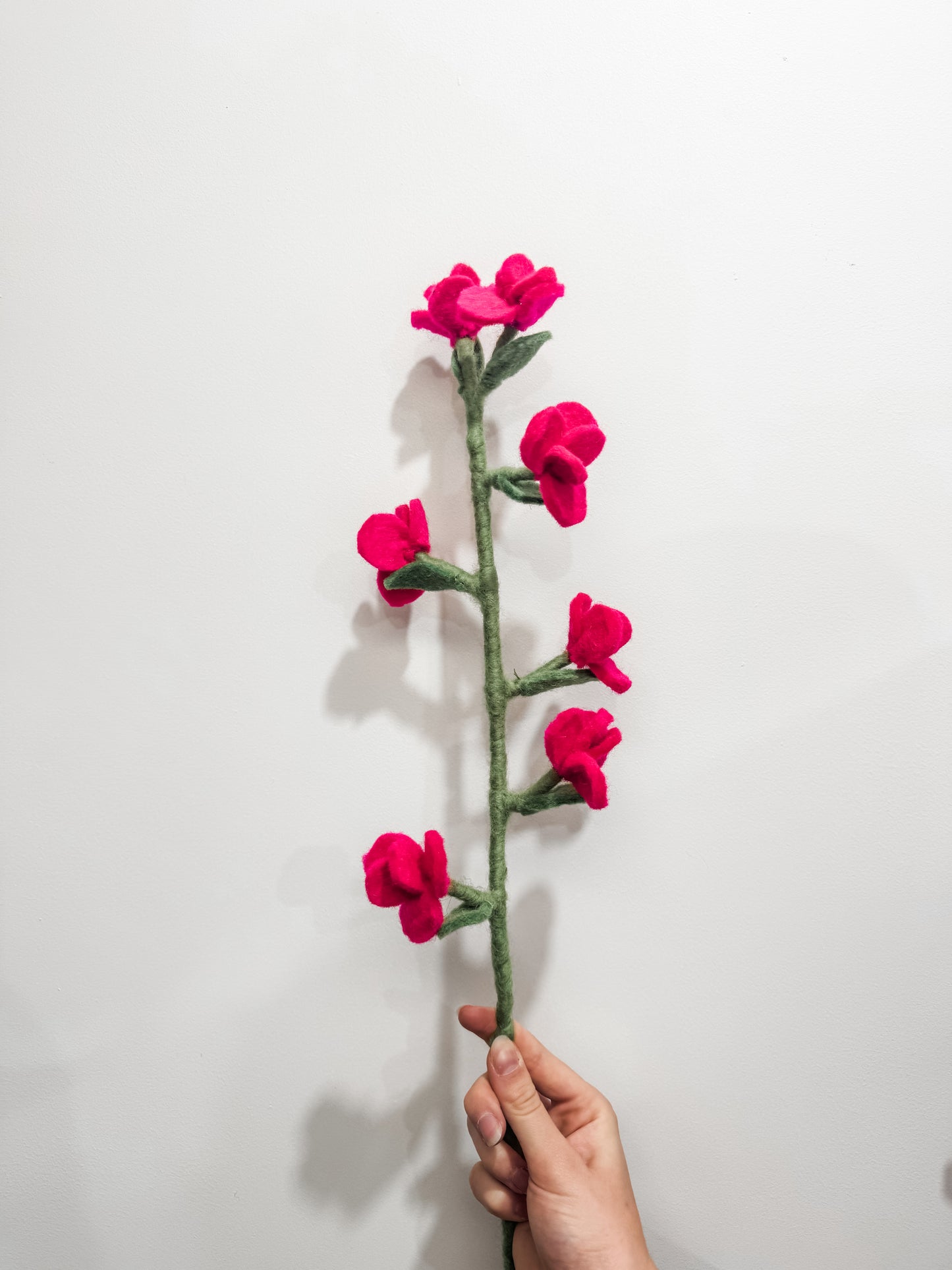 Flower Stems