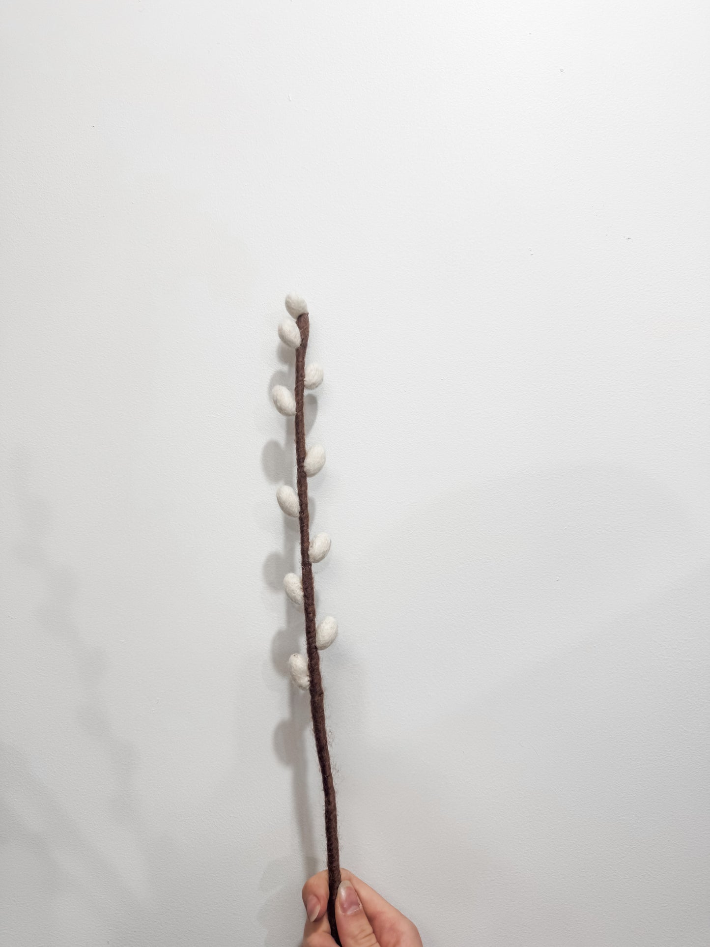 Flower Stems