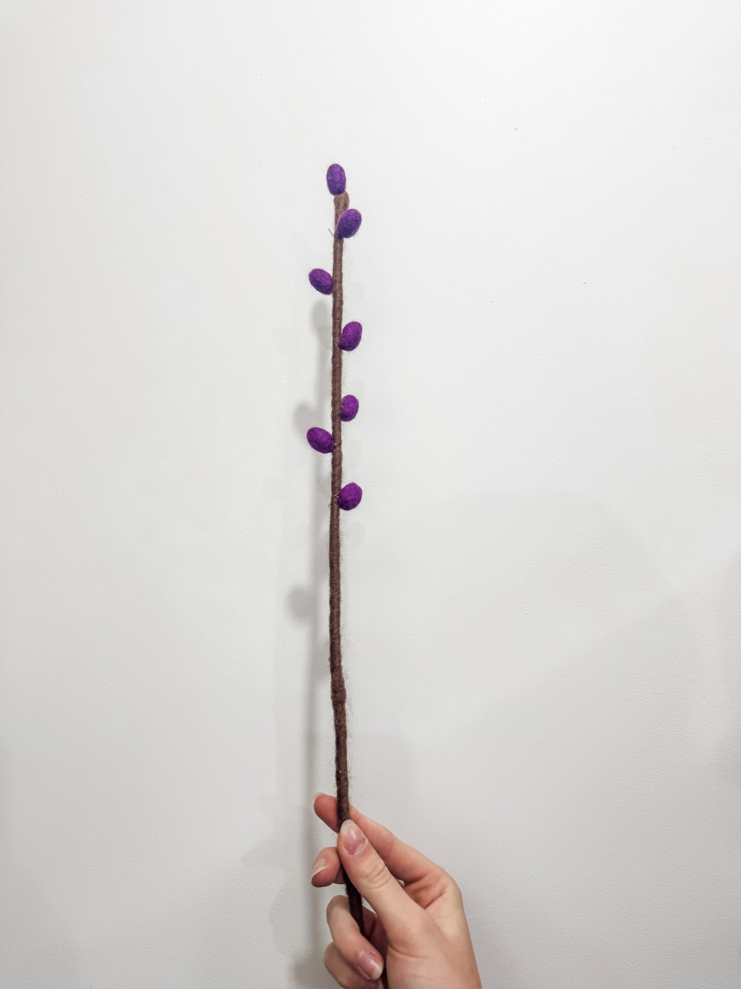 Flower Stems