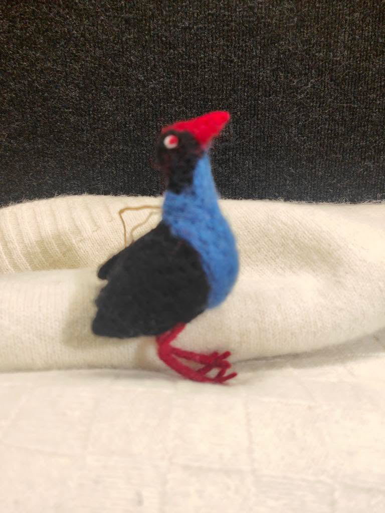 New Zealand Birds