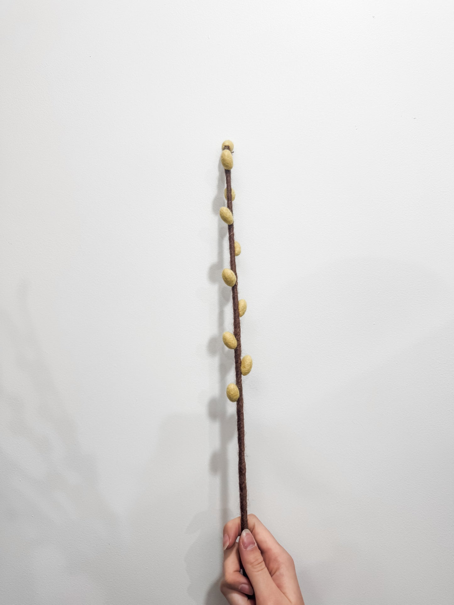 Flower Stems