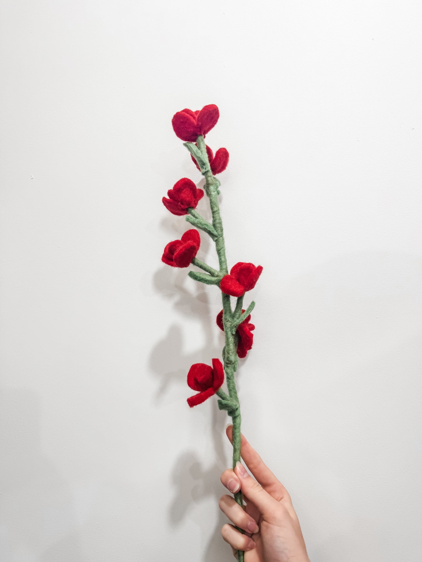Flower Stems