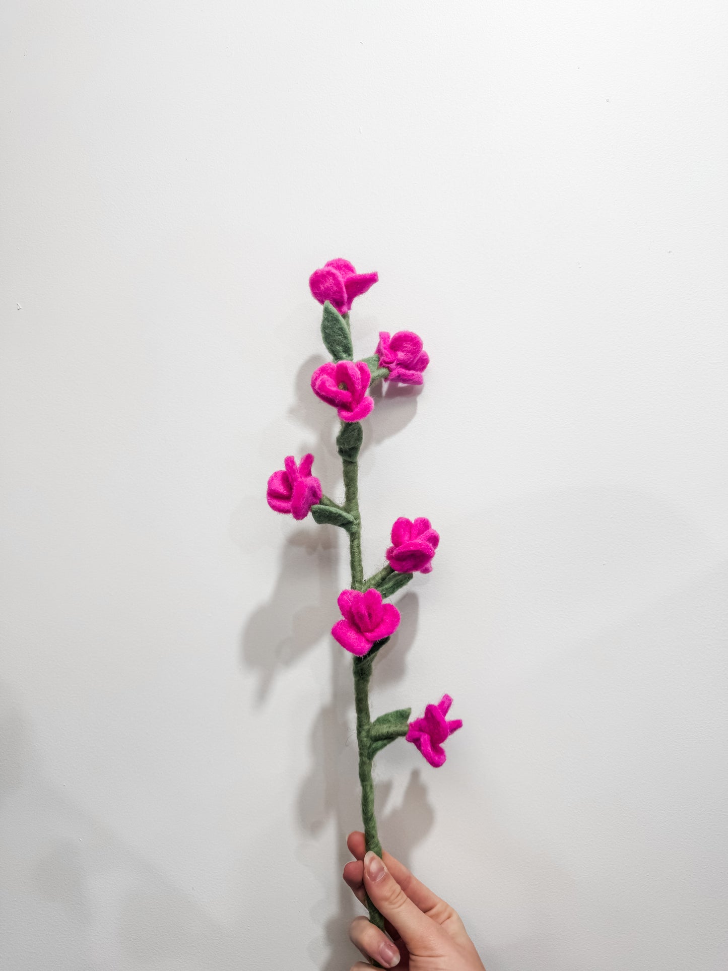 Flower Stems