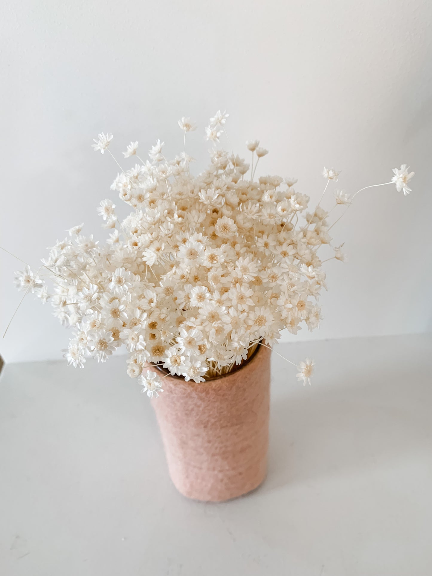 Felt Vase Sleeve - now half price