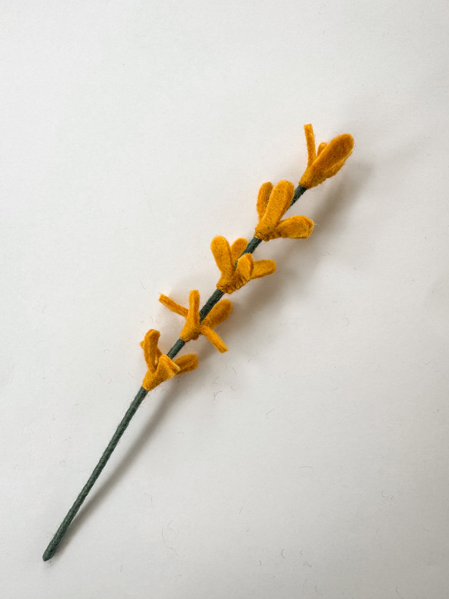 Flower Stems