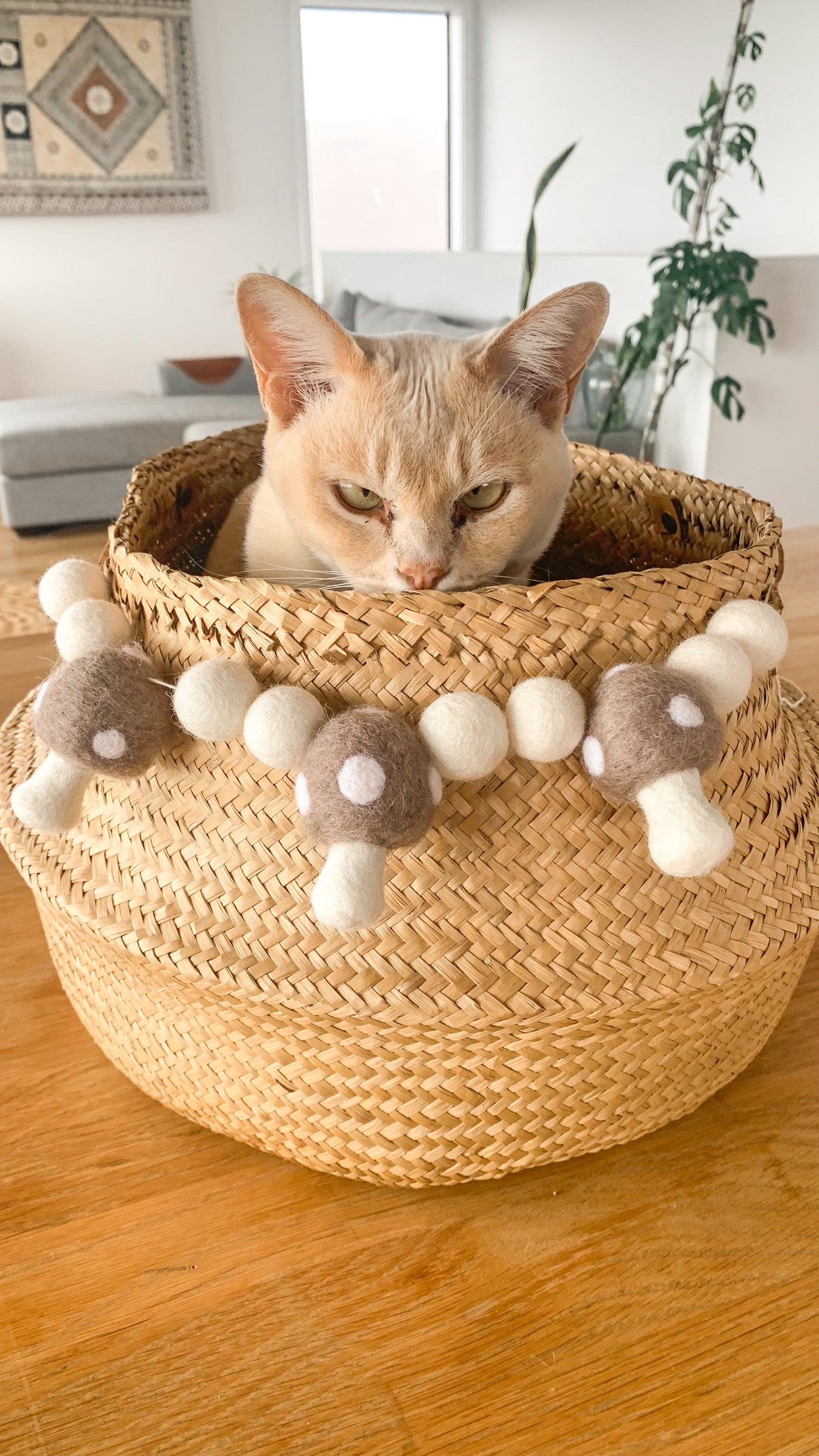 Mini Garlands