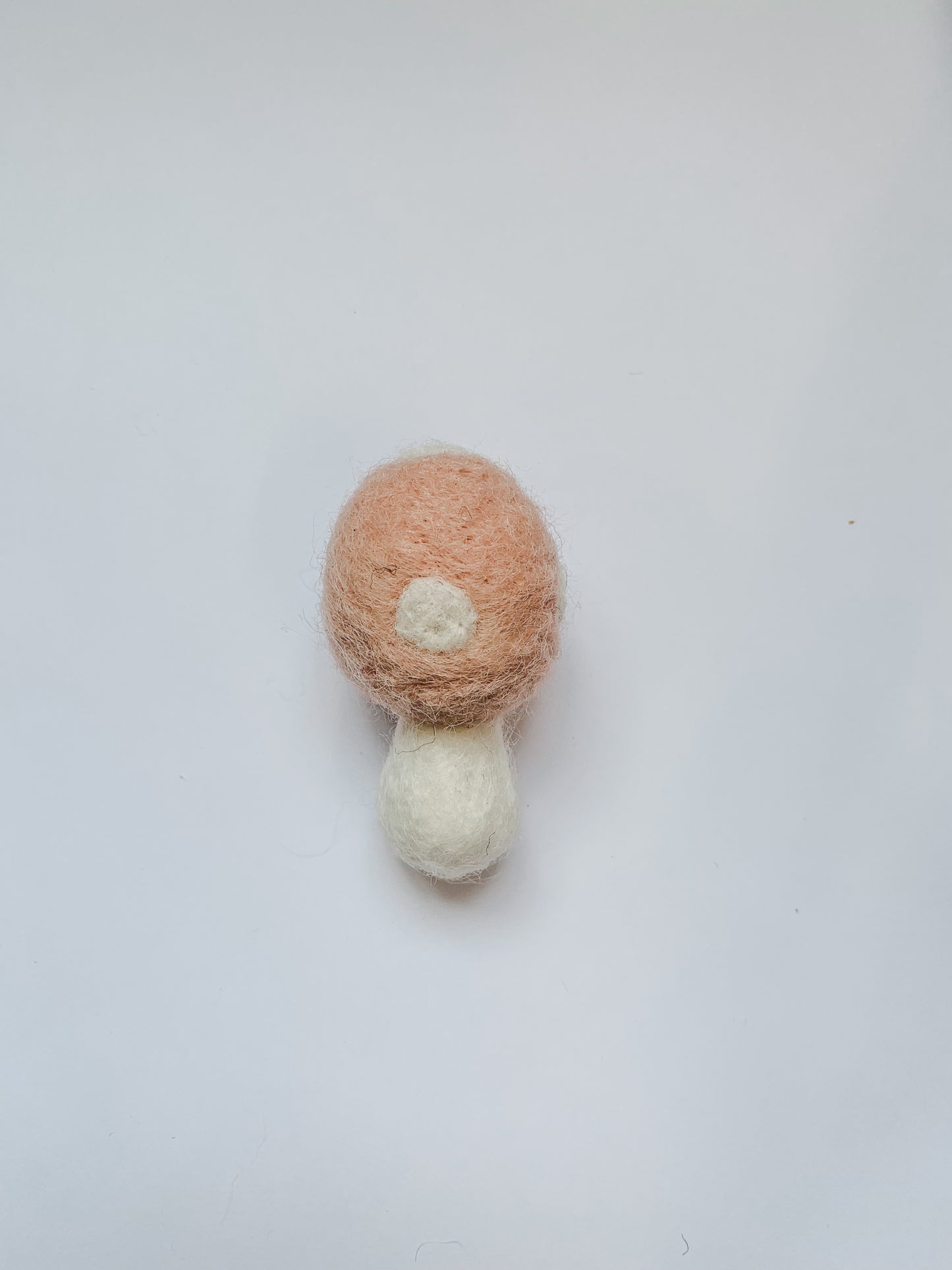 Felted Mushrooms